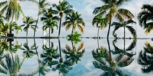 ��������� �� �.�������� � ����� 2026