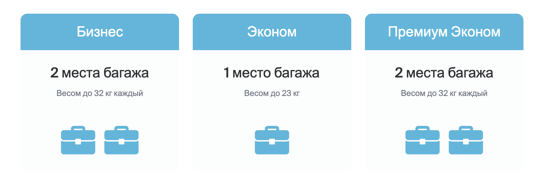 Азал норма ручной клади